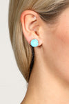 Semi Precious Stone Stud Earrings